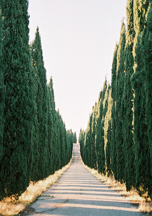 Toskania Zachód Słońca Droga Cyprysy Oswald Małachowski Fotografia Fuji 400h Contax645
